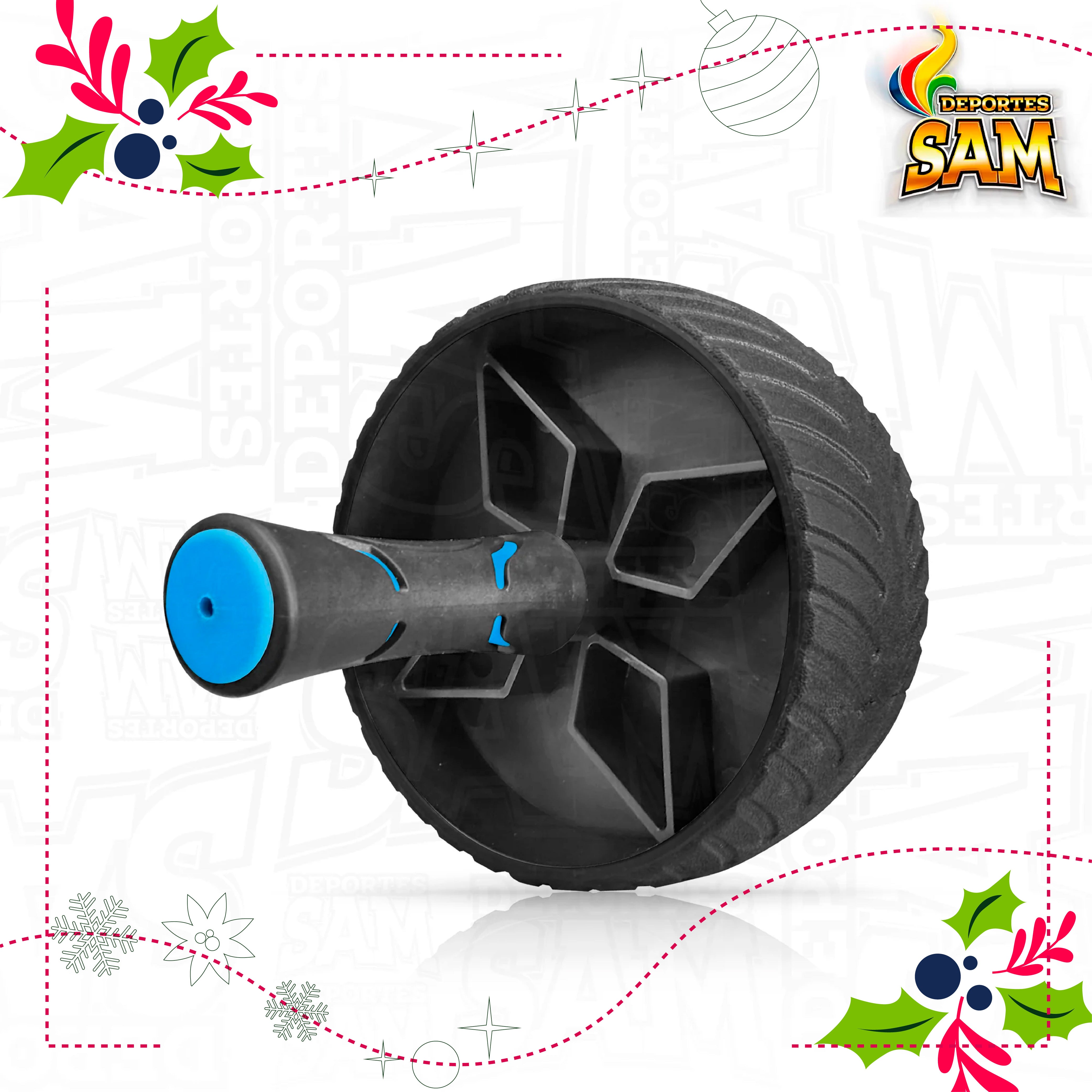 RUEDA TONIFICADORA PRO ABDOMINALES MIYAGI